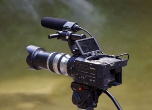 wildlife-camera